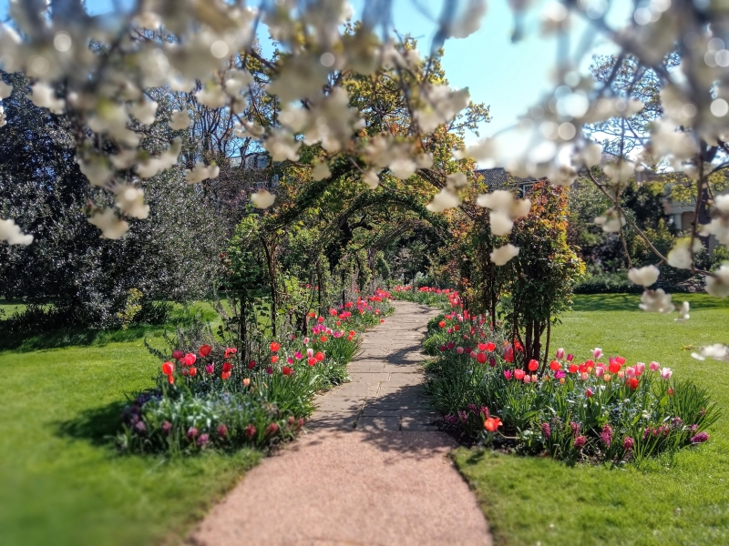 Edwardes Square